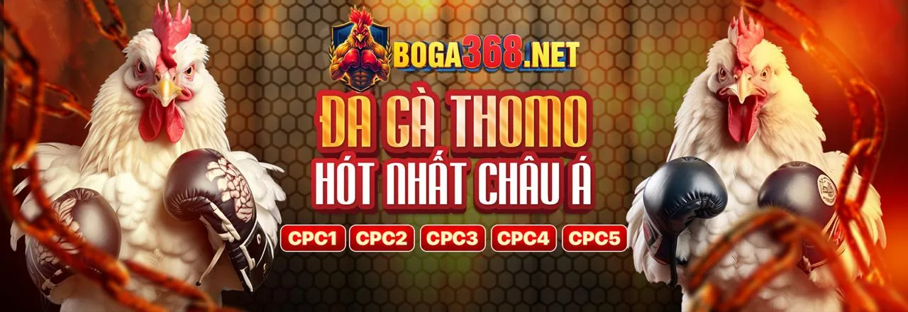 Ưu điểm đá gà 08tr88