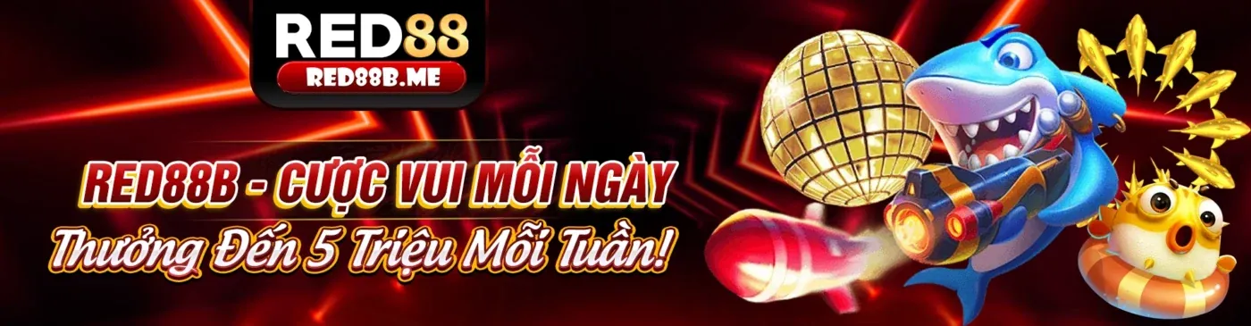 Tổng quan nền tảng 08tr88